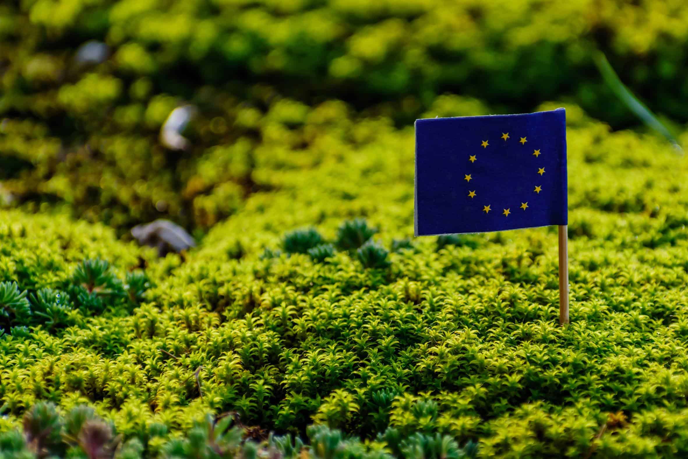 EU flag i grønt mos